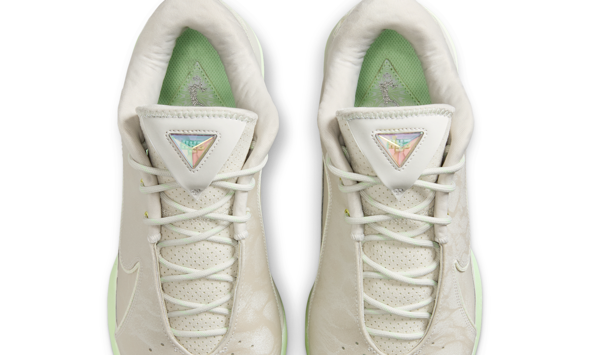 Nike LeBron 22 Dunkman (Translucent Outsole)