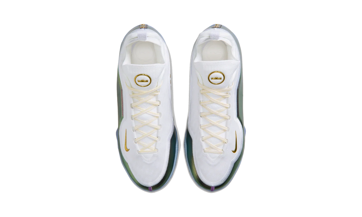 Nike LeBron 23 Elite For The Record