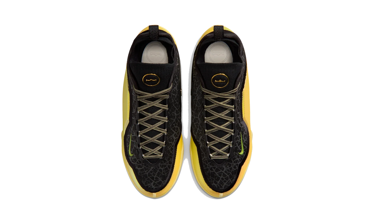 Nike LeBron 23 Elite Hurt Feelings Write History