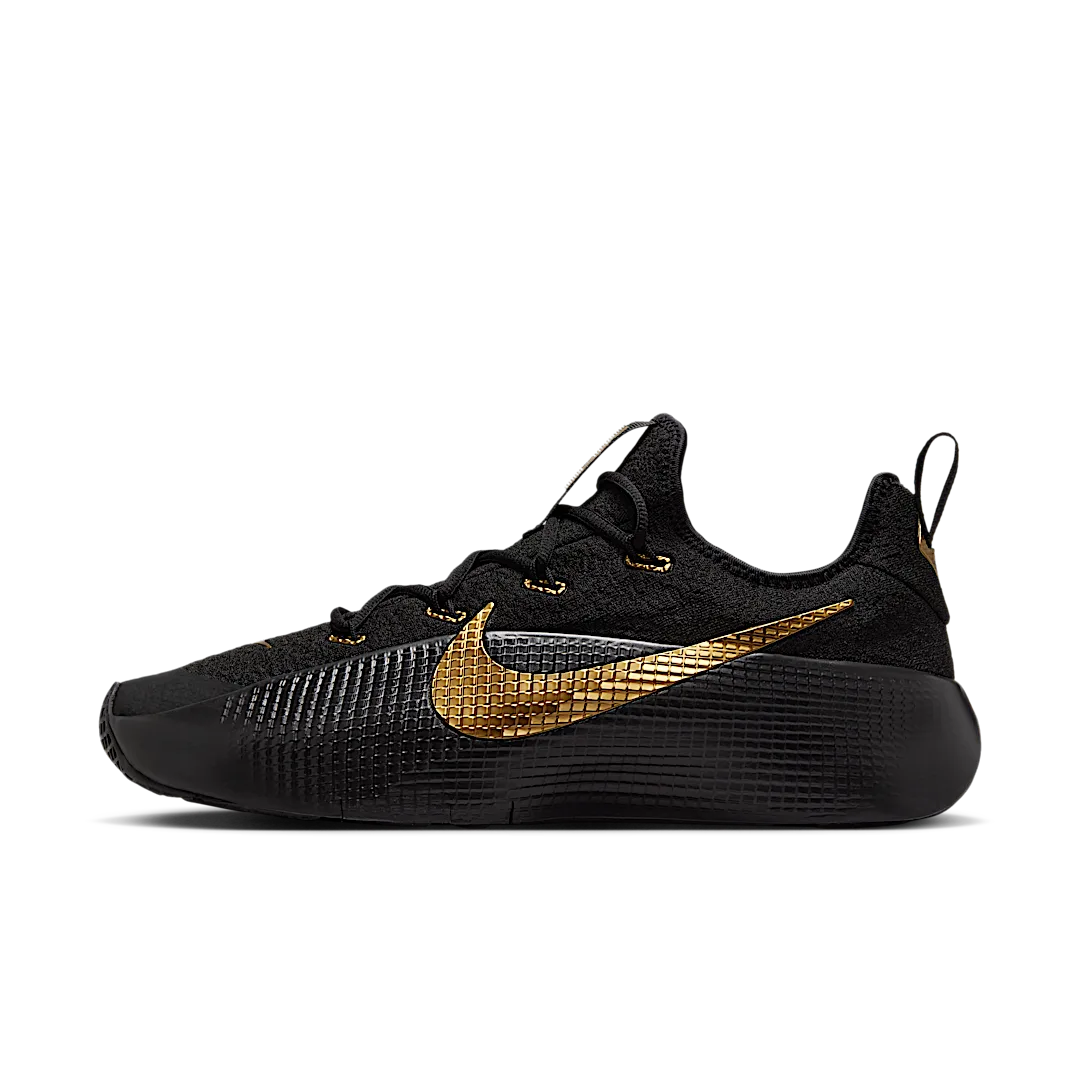 Nike LeBron TR 1 Black Metallic Gold, Black/Metallic Gold (FJ6151-004)