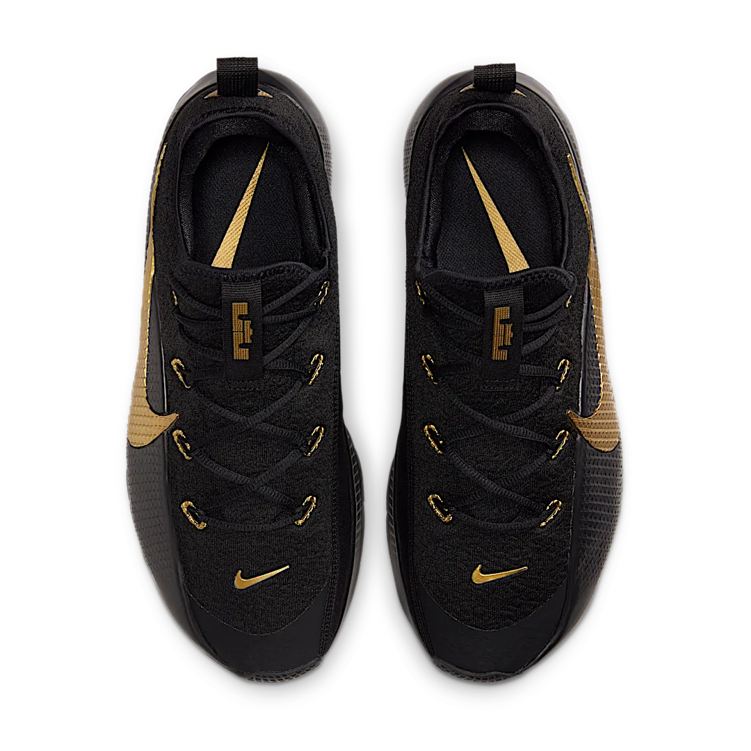 Nike LeBron TR 1 Black Metallic Gold, Black/Metallic Gold (FJ6151-004)