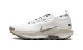 Nike React Pegasus Trail 5 Gore-Tex SP Summit White College Grey Bone
