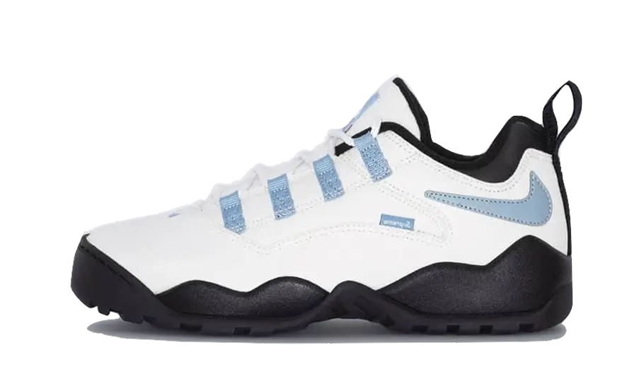 Nike SB Darwin Low Supreme Sail, Sail/Boarder Blue/Black (FQ3000-100)