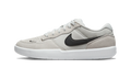 Nike SB Force 58 Photon Dust