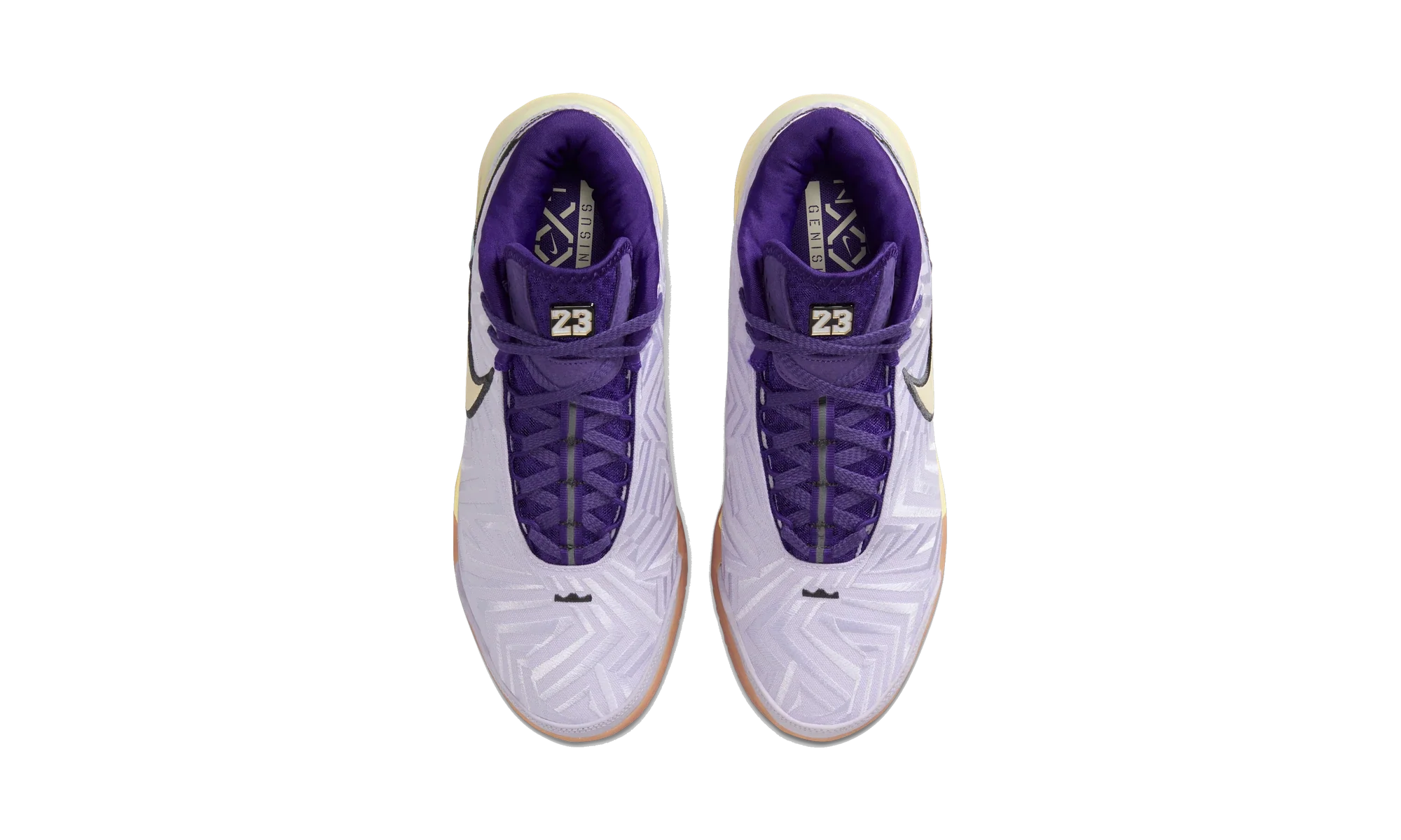 Nike Zoom LeBron NXXT Genisus Amethyst Tint Court Purple