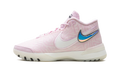Nike Zoom LeBron NXXT Genisus Pink Foam Sail (Translucent Outsole)