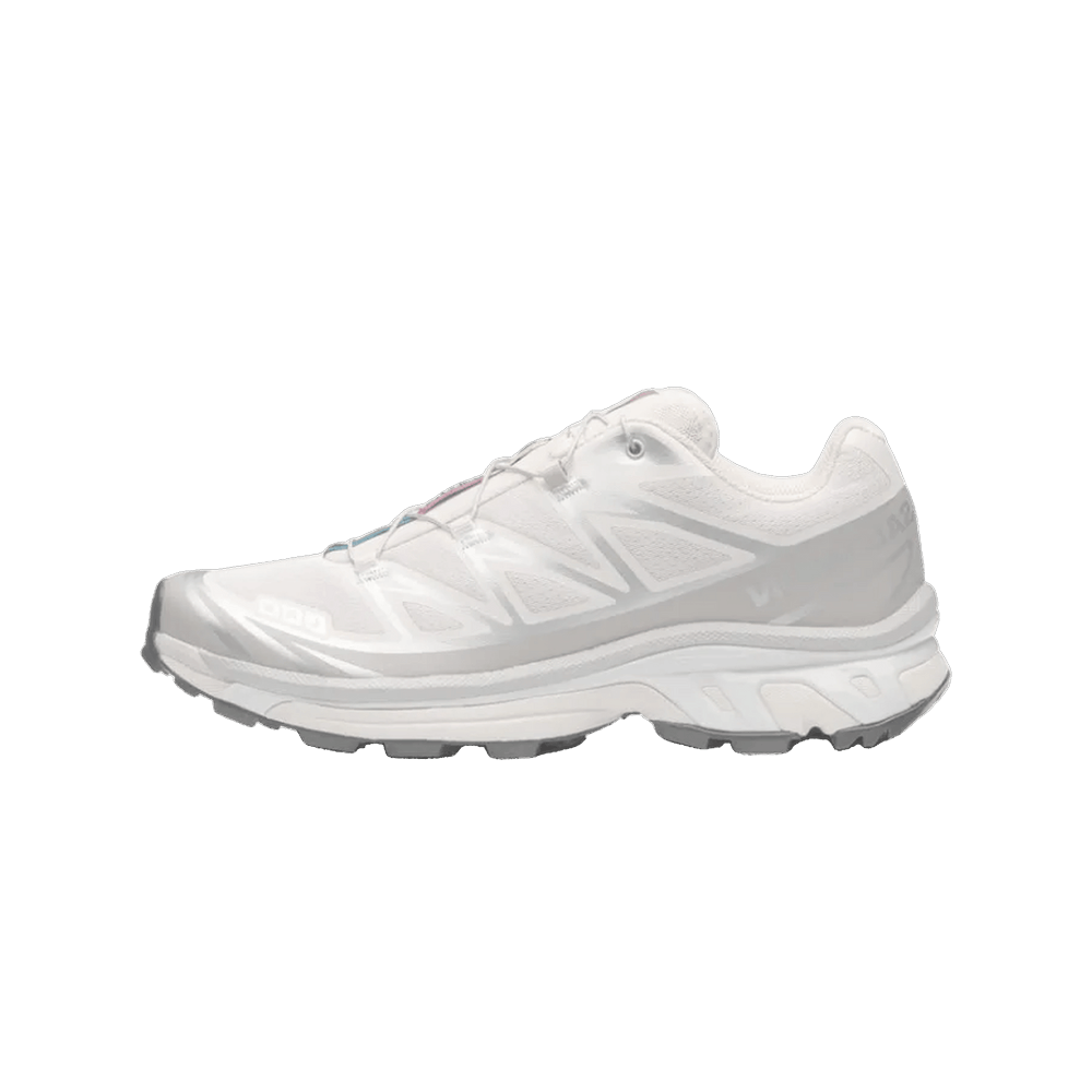 Salomon XT-6 Rainy Day Paloma