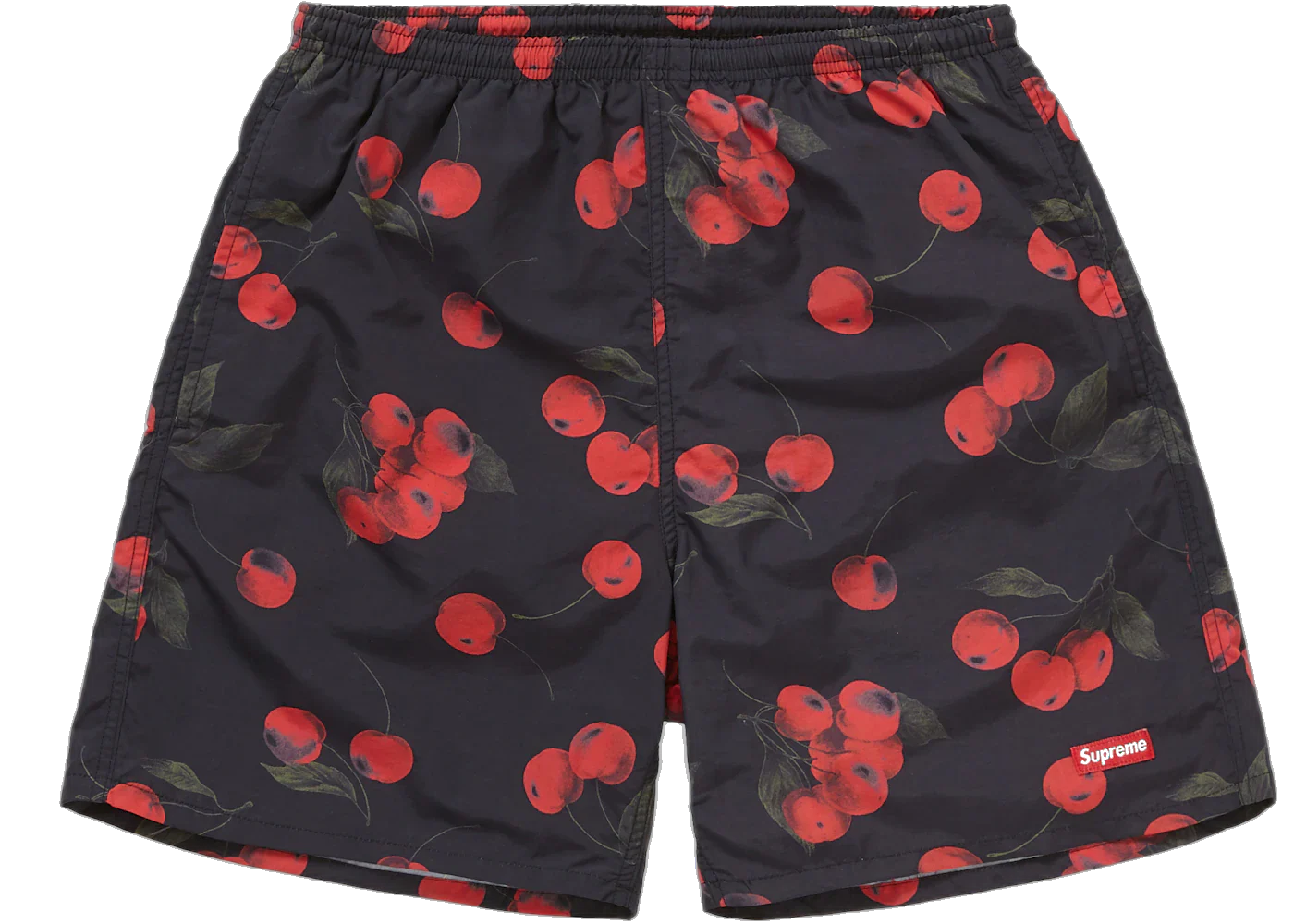 Supreme Nylon Water Short (SS19) Black Cherry