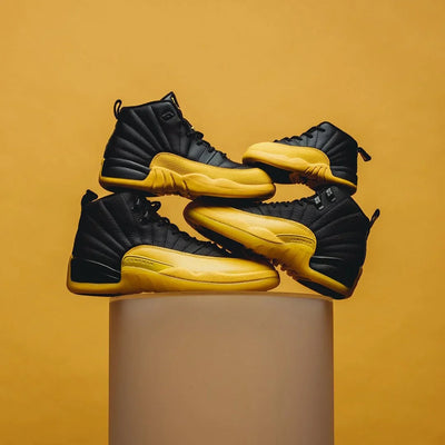 Air Jordan 12