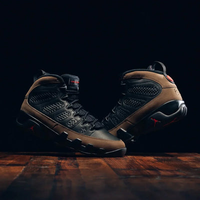 Air Jordan 9