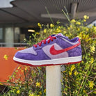 Nike Dunk Low Plum (2020/2024), Daybreak/Barn-Plum (CU1726-500)