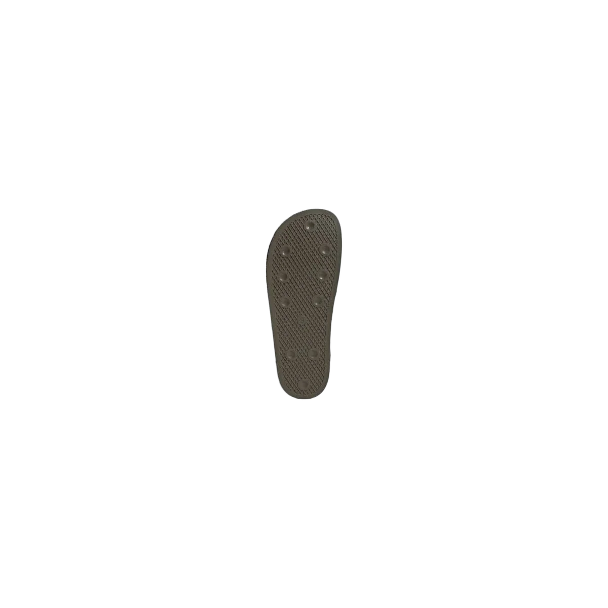 Adidas Adimule Branch Cardboard