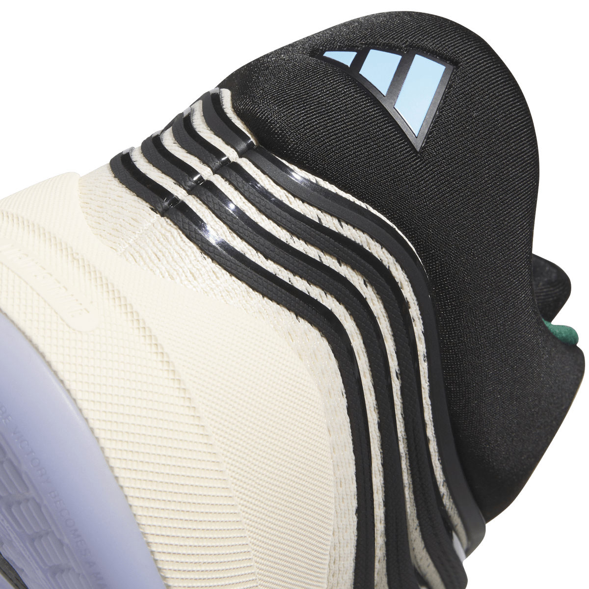 Adidas Dame 10 Bucks
