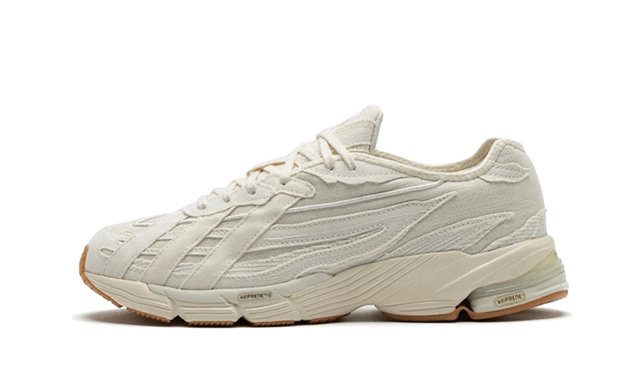 Adidas Orketro Sean Wotherspoon Off White - Sneak