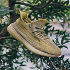 Adidas Yeezy Boost 350 V2 Antlia (Non-Reflective), Antlia/Antlia/Antlia (FV3250)