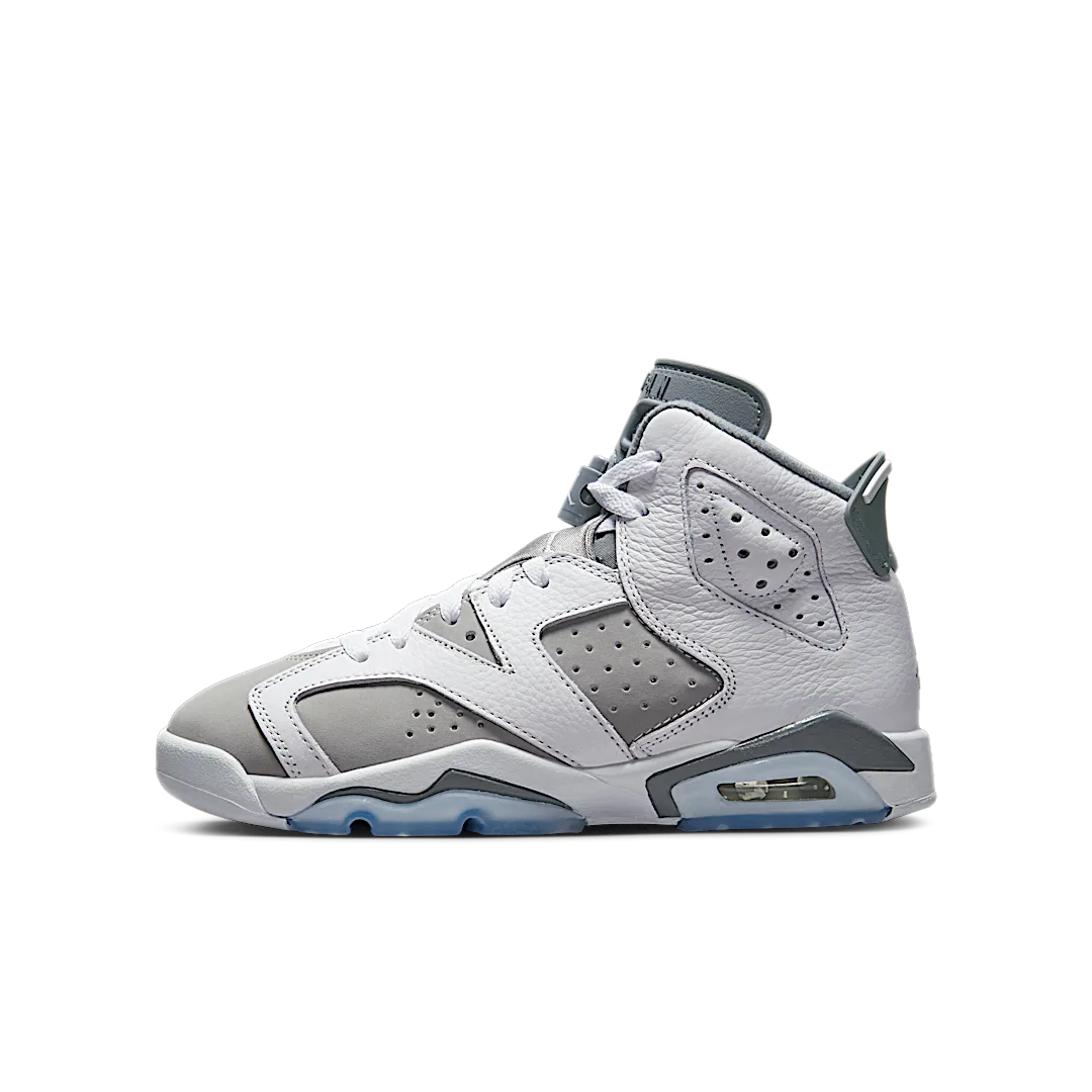 Air Jordan 6 Retro Cool Grey