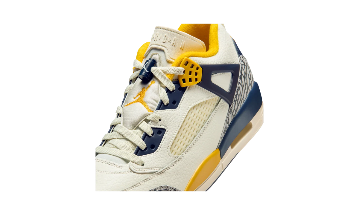 Air Jordan Spizike Low Michigan