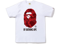 BAPE Color Camo By Bathing Ape Tee (FW22) Black Red