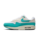 Nike Air Max 1 Dusty Cactus