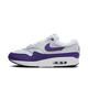 Nike Air Max 1 SC Field Purple