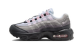 Nike Air Max 95 Pink Foam (PS)