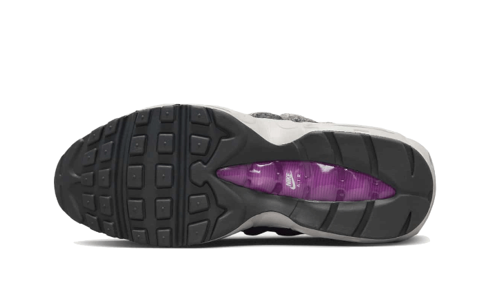 Nike Air Max 95 Viotech Anthracite, Anthracite/Viotech/Ironstone/Moon Fossil (DX2955-001)