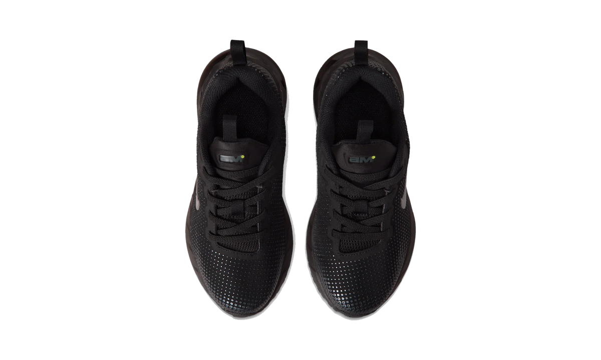 Nike Air Max Phoenix Black Anthracite Metallic Dark Grey (PS)