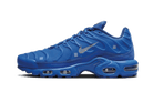 Nike Air Max Plus A-COLD-WALL House Blue, Varsity Royal/Varsity Royal/Cool Grey (FD7855-400)