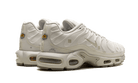 Nike Air Max Plus A-COLD-WALL Platinum Tint, Platinum Tint/Light Bone/Black/Stone/Light Orewood Brown/White (FD7855-002)