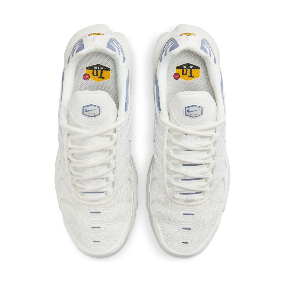 Nike Air Max Plus Ashen Slate, Summit White/Ashen Slate/Light Armory Blue (DZ3671-104)