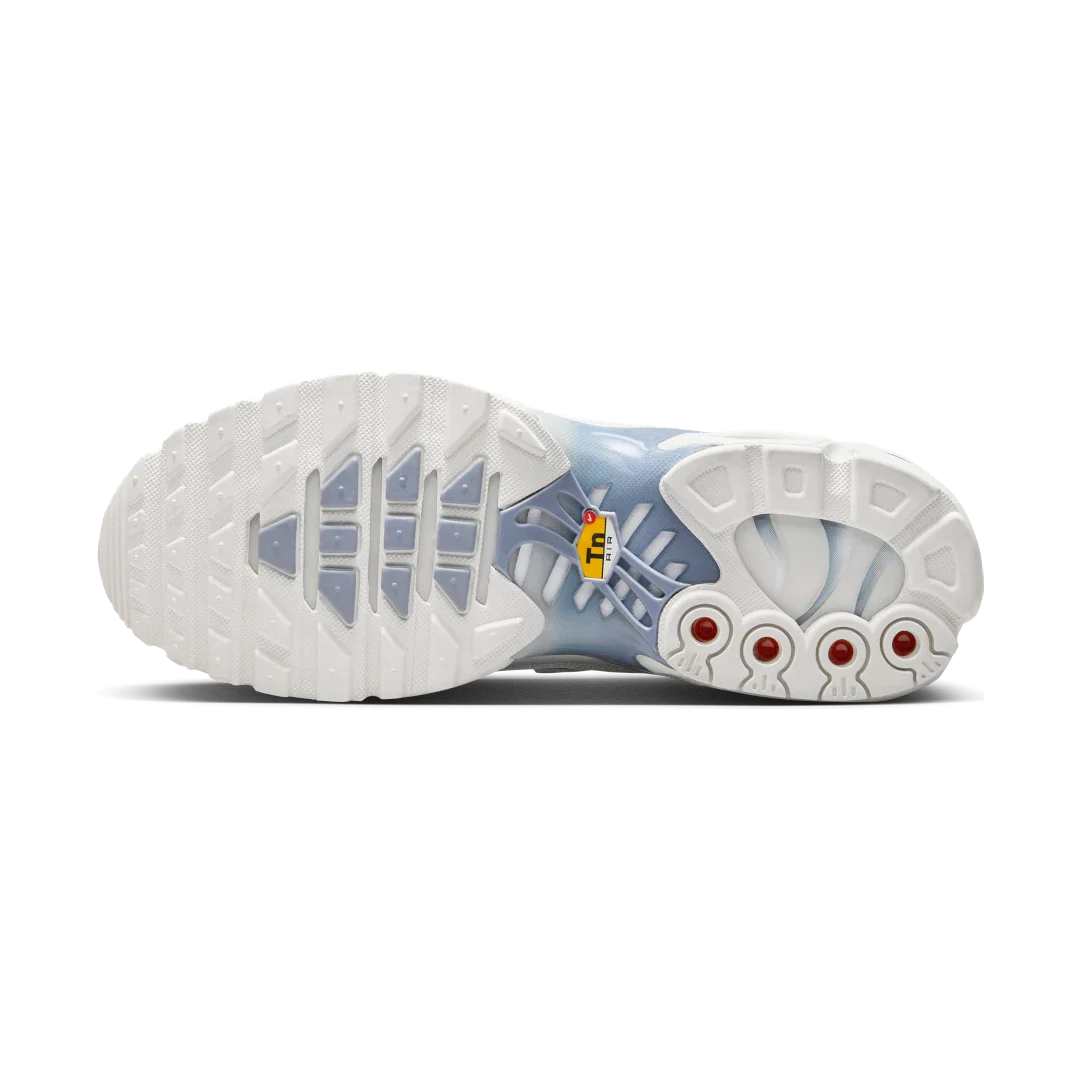 Nike Air Max Plus Ashen Slate, Summit White/Ashen Slate/Light Armory Blue (DZ3671-104)