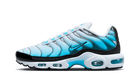 Nike Air Max Plus Baltic Blue, White/Black/Baltic Blue (FD9751-100)