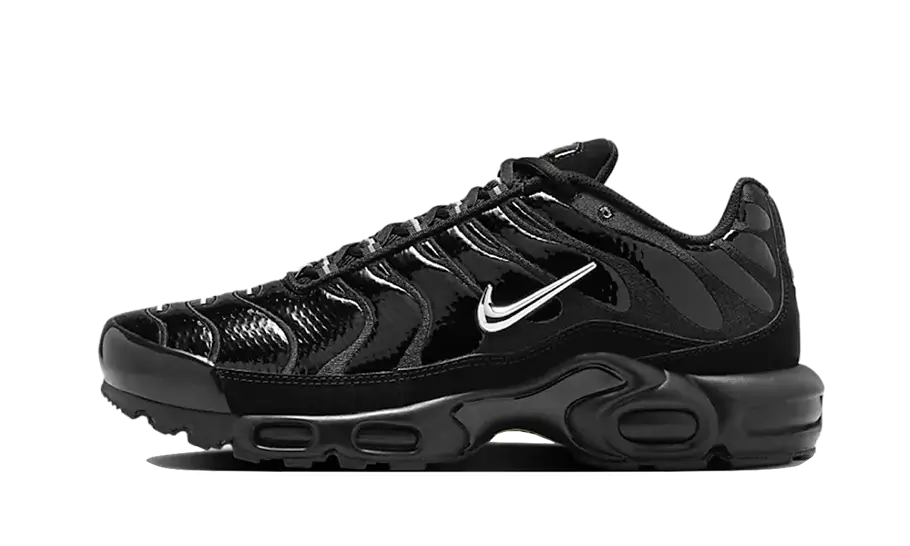 Nike Air Max Plus Black Chrome, Black/Volt/Concord/Metallic Silver (FJ2591-001)