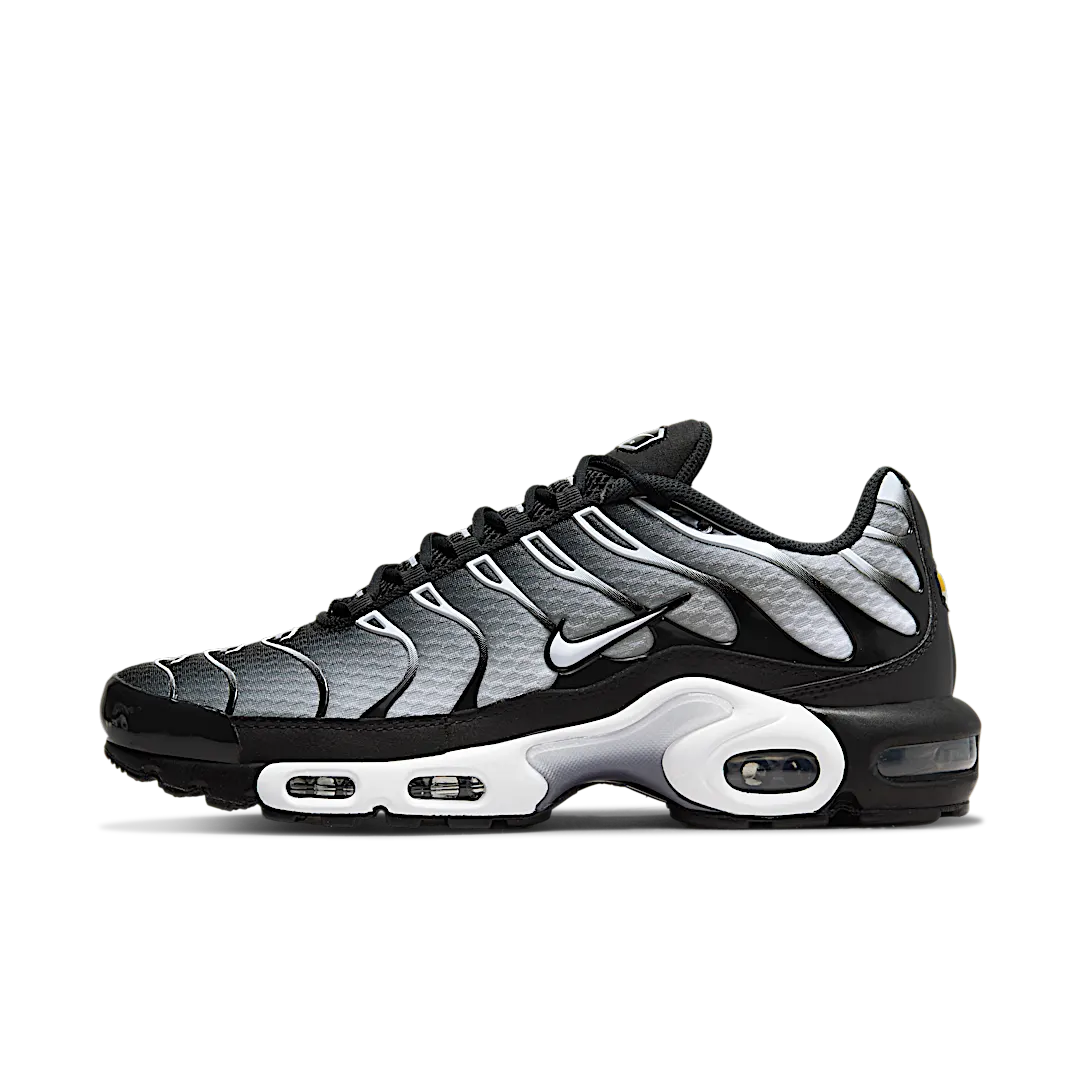 Nike Air Max Plus Black Silver White, Black/Metallic Silver/White (DM0032-003)