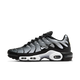 Nike Air Max Plus Black Silver White