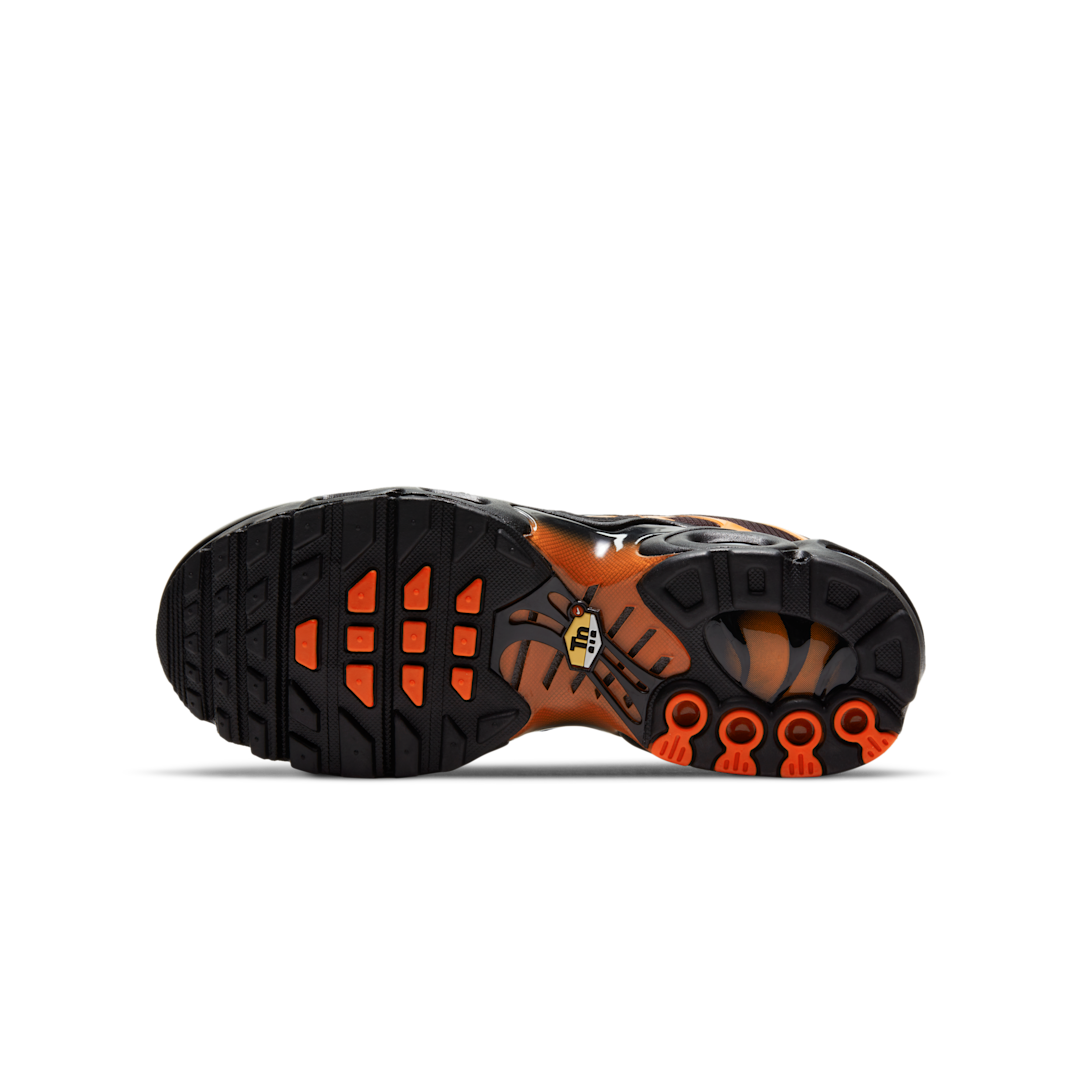 Nike Air Max Plus Black Team Orange, Black/Team Orange/Iron Grey/Black (DJ4619-001)