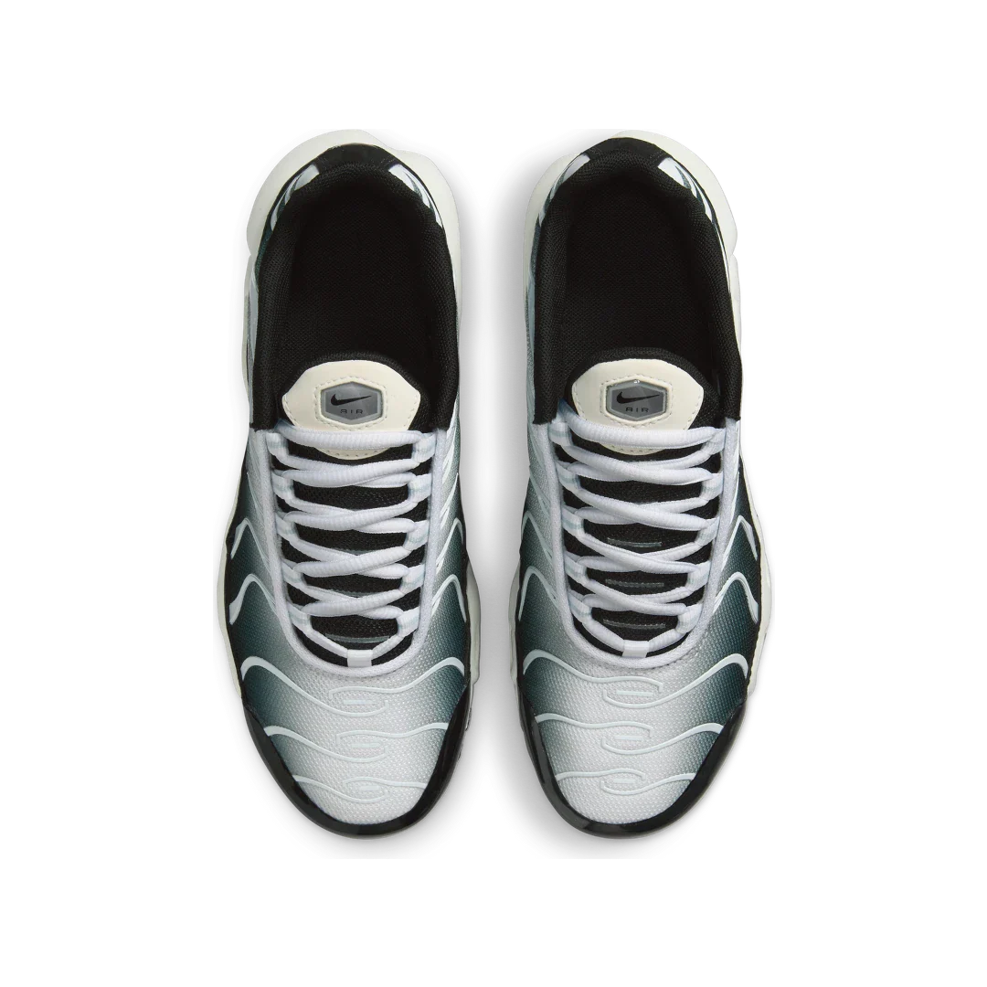 Nike Air Max Plus Black White Sail Metallic Cool Grey, Black/White/Sail/Metallic Cool Grey (CD0609-026)