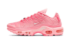 Nike Air Max Plus City Special ATL, Arctic Punch/White (DH0155-600)