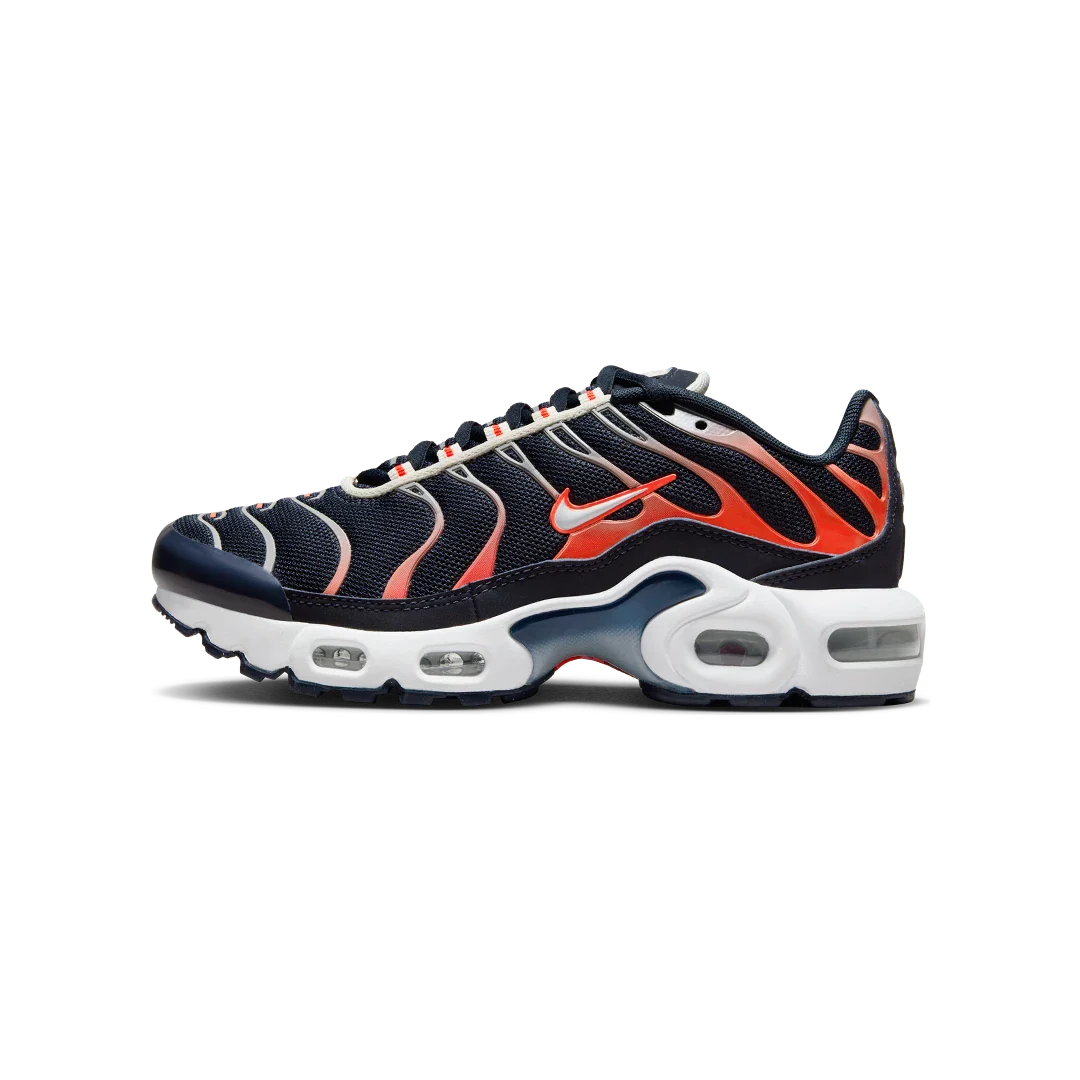 Nike Air Max Plus Dark Obsidian Bright Crimson