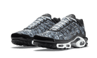 Nike Air Max Plus Dark Smoke Grey, Black/White-Dark Smoke Grey-Black (DO6384-001)