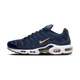 Nike Air Max Plus FFF