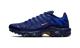 Nike Air Max Plus French Football Federation