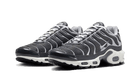 Nike Air Max Plus Greyscale Cool Grey, Cool Grey/Grey (DZ2655-001)