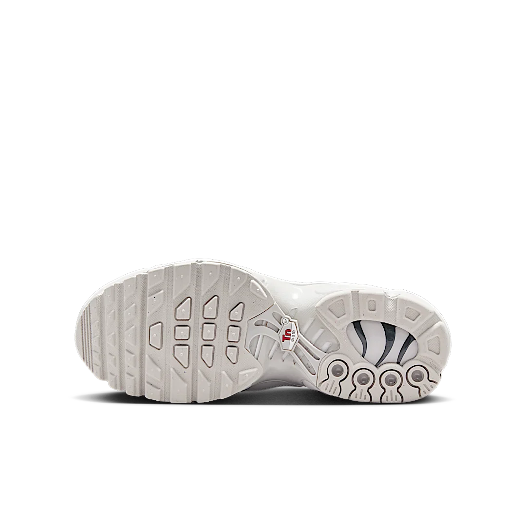 Nike Air Max Plus Light Iron Ore Gym Red Smoke Grey Metallic Silver, Light Iron Ore/Gym Red/Smoke Grey/Metallic Silver (FZ0977-001)