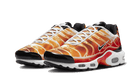 Nike Air Max Plus Light Photography, Multi Color (DZ3531-600)