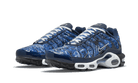 Nike Air Max Plus Midnight Navy White, Midnight Navy/White/Black/Midnight Navy (DO6384-400)