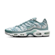 Nike Air Max Plus Origins Waterway
