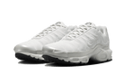 Nike Air Max Plus Platinum Tint, Platinum Tint/White-Black (FZ4342-001)