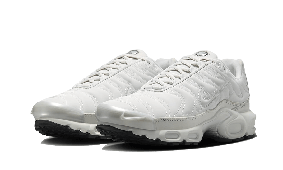 Nike Air Max Plus Platinum Tint, Platinum Tint/White-Black (FZ4342-001)