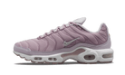 Nike Air Max Plus Plum Fog, Plum Fog/Metallic Silver/Venice (DJ5421-500)